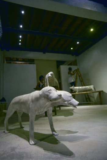 shop